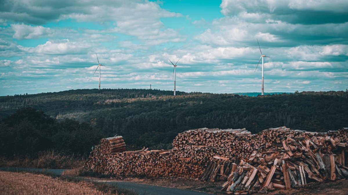 Energiewende in Gefahr: Warum jetzt jeder Haushalt betroffen ist